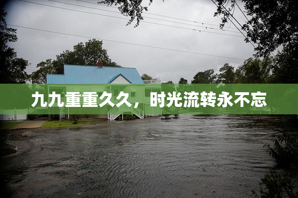 九九重重久久，时光流转永不忘
