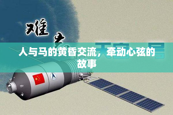人与马的黄昏交流，牵动心弦的故事