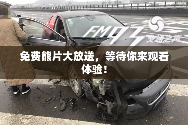 免费熊片大放送，等待你来观看体验！