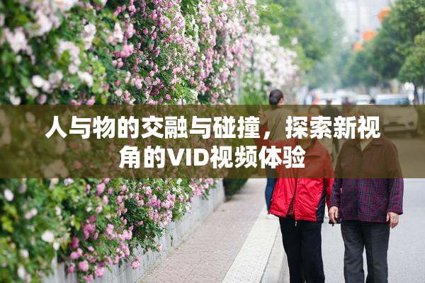 人与物的交融与碰撞，探索新视角的VID视频体验