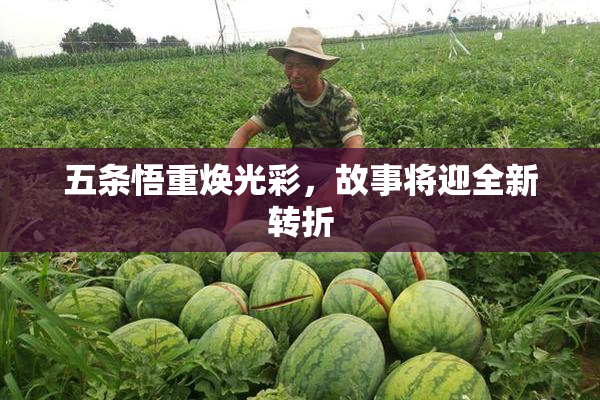 五条悟重焕光彩，故事将迎全新转折