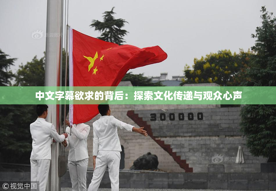 中文字幕欲求的背后：探索文化传递与观众心声