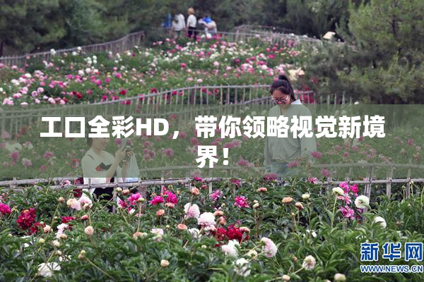 工口全彩HD，带你领略视觉新境界！