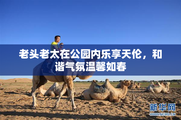 老头老太在公园内乐享天伦，和谐气氛温馨如春