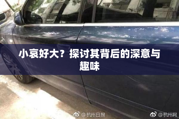 小哀好大？探讨其背后的深意与趣味