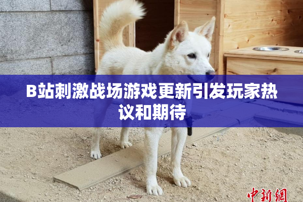 B站刺激战场游戏更新引发玩家热议和期待