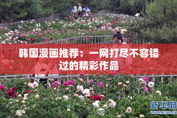 韩国漫画推荐：一网打尽不容错过的精彩作品