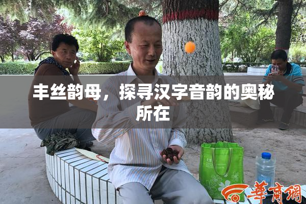 丰丝韵母，探寻汉字音韵的奥秘所在