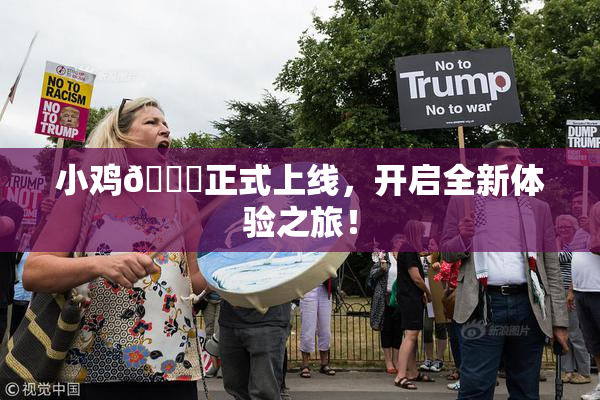 小鸡🐔正式上线，开启全新体验之旅！