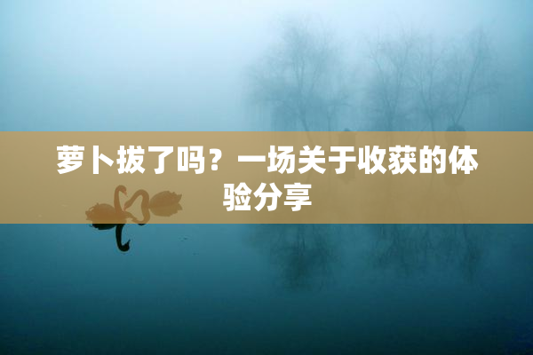 萝卜拔了吗？一场关于收获的体验分享