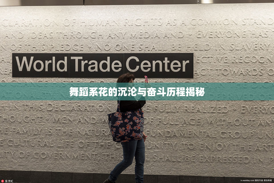 舞蹈系花的沉沦与奋斗历程揭秘