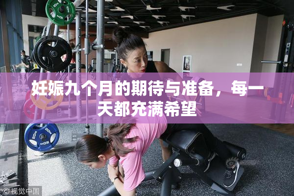 妊娠九个月的期待与准备，每一天都充满希望
