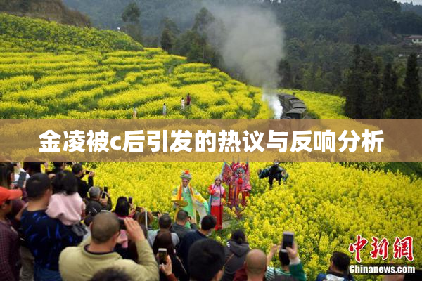 金凌被c后引发的热议与反响分析