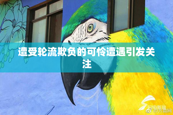 遭受轮流欺负的可怜遭遇引发关注