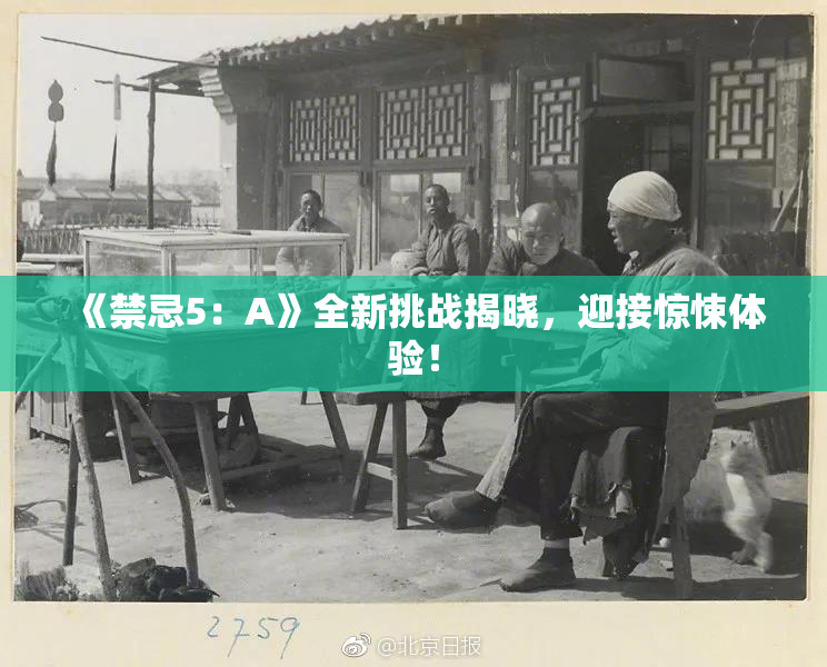 《禁忌5：A》全新挑战揭晓，迎接惊悚体验！