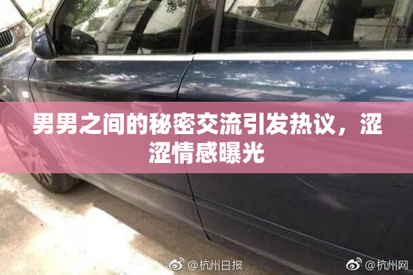 男男之间的秘密交流引发热议，涩涩情感曝光