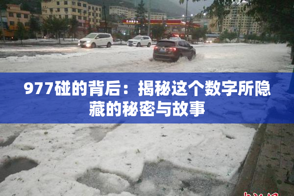 977碰的背后：揭秘这个数字所隐藏的秘密与故事