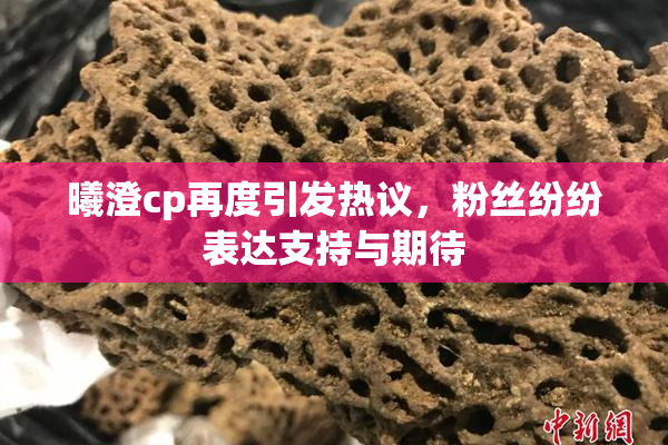曦澄cp再度引发热议，粉丝纷纷表达支持与期待