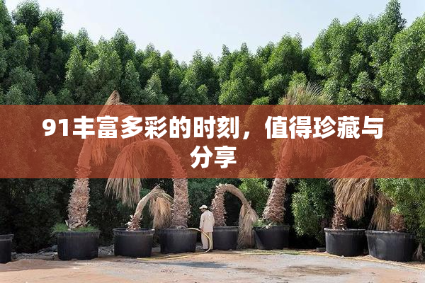 91丰富多彩的时刻，值得珍藏与分享