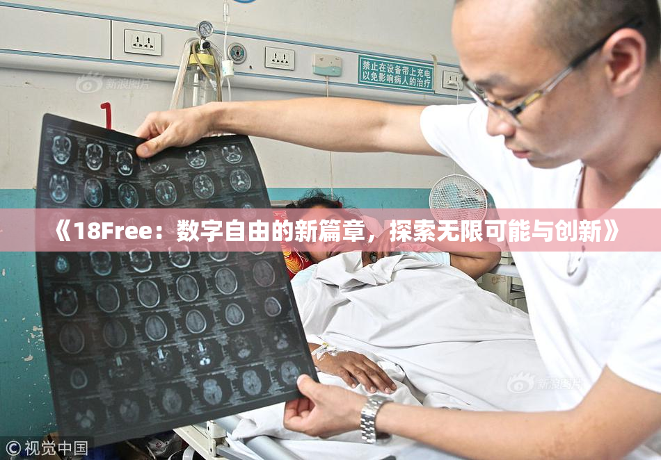 《18Free：数字自由的新篇章，探索无限可能与创新》