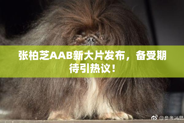 张柏芝AAB新大片发布，备受期待引热议！