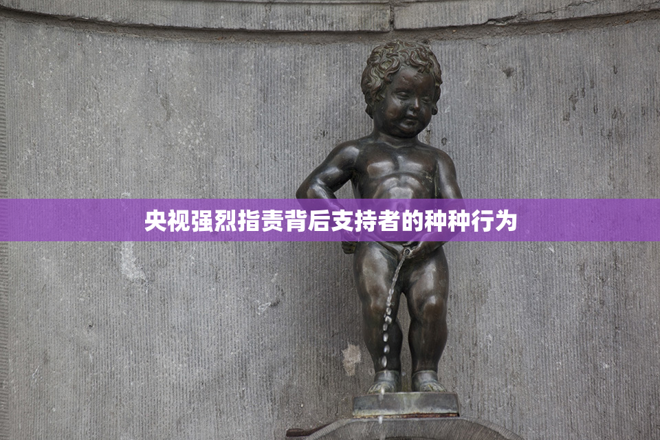 央视强烈指责背后支持者的种种行为
