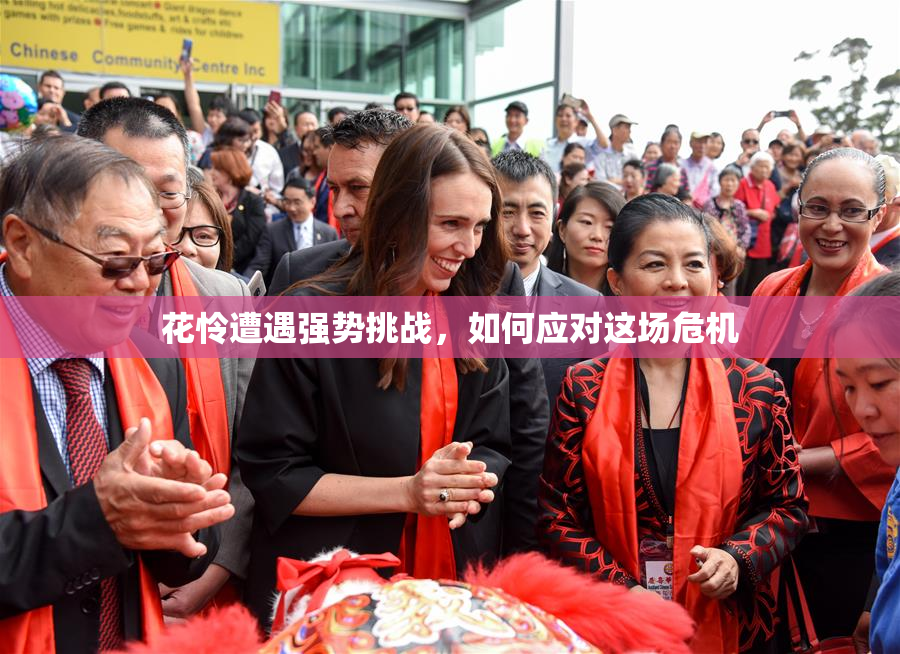 花怜遭遇强势挑战，如何应对这场危机