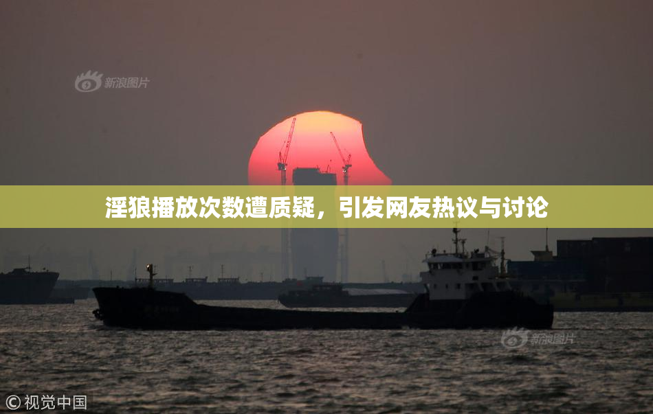 淫狼播放次数遭质疑，引发网友热议与讨论