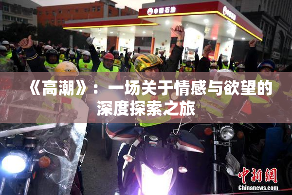 《高潮》：一场关于情感与欲望的深度探索之旅