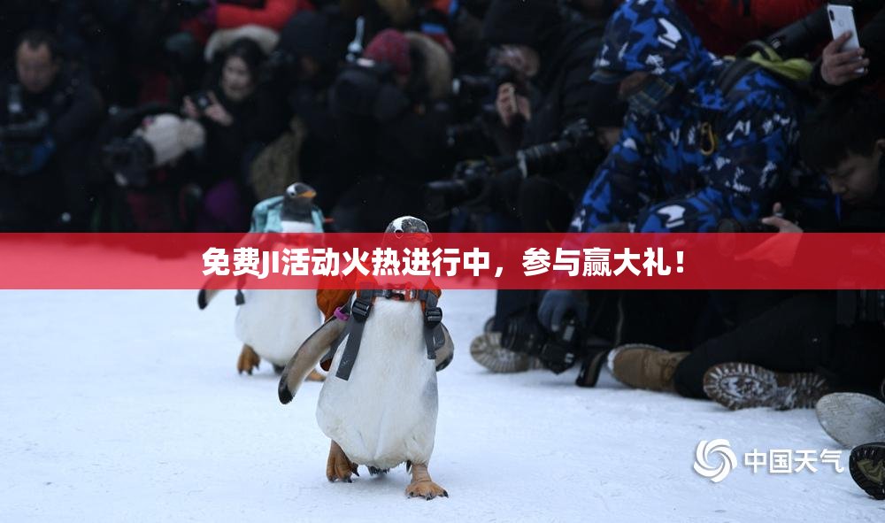免费JI活动火热进行中，参与赢大礼！