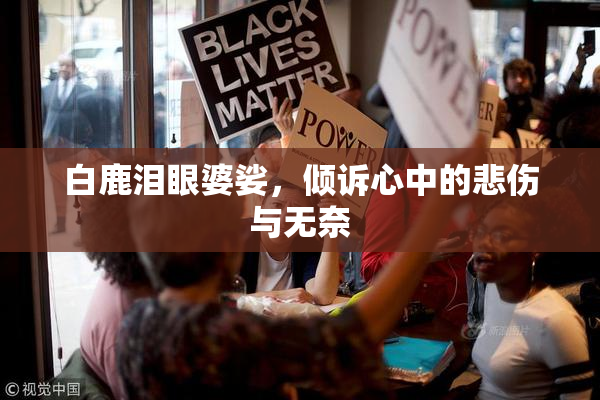 白鹿泪眼婆娑，倾诉心中的悲伤与无奈