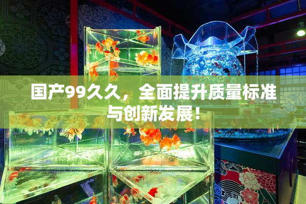 国产99久久，全面提升质量标准与创新发展！