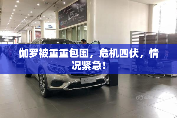伽罗被重重包围，危机四伏，情况紧急！