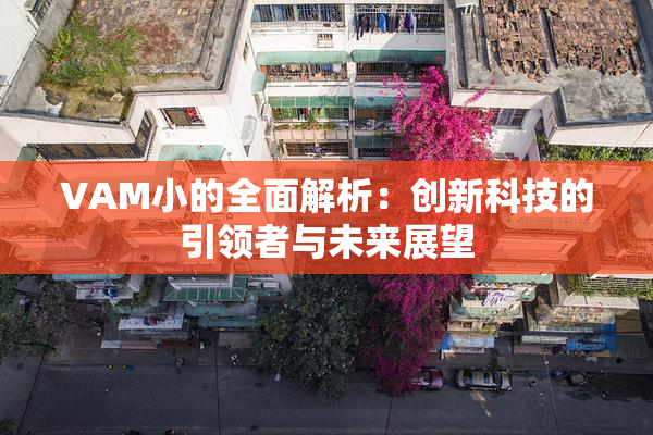 VAM小的全面解析：创新科技的引领者与未来展望