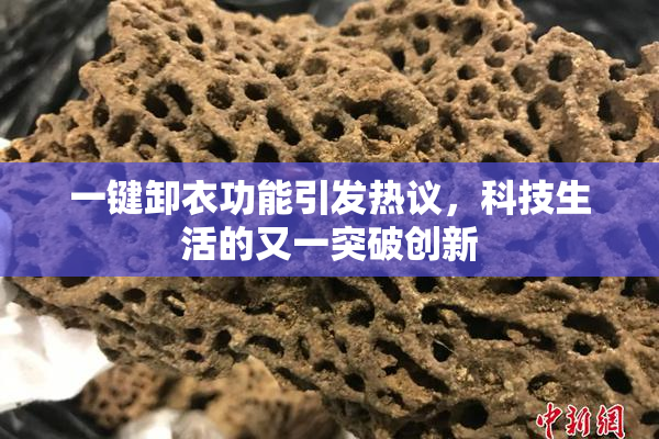 一键卸衣功能引发热议，科技生活的又一突破创新