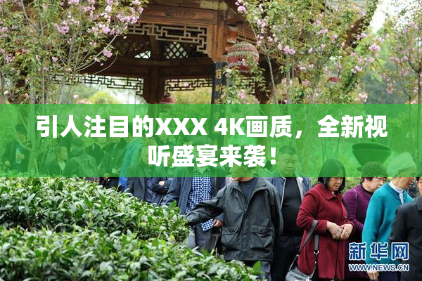 引人注目的XXX 4K画质，全新视听盛宴来袭！