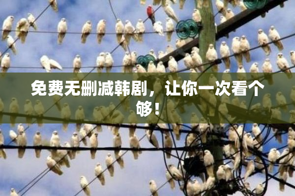 免费无删减韩剧，让你一次看个够！