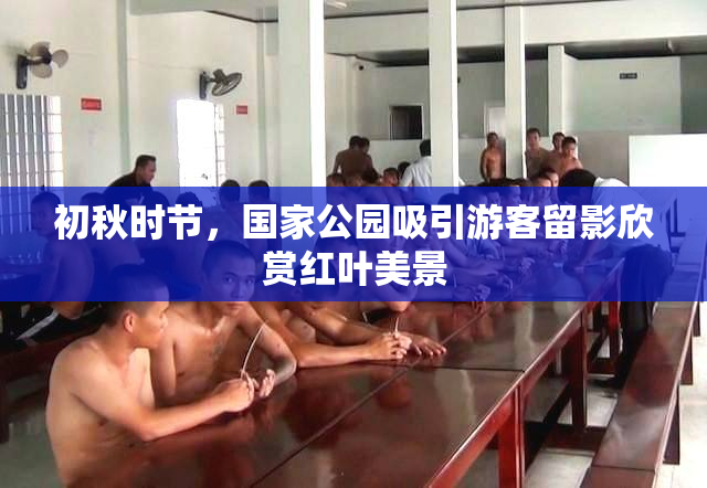初秋时节，国家公园吸引游客留影欣赏红叶美景