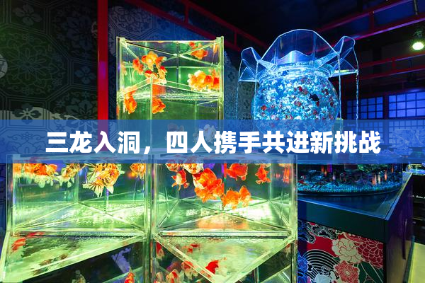三龙入洞，四人携手共进新挑战