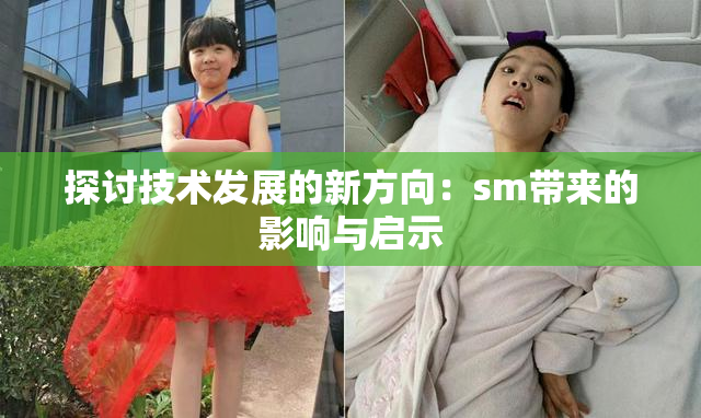 探讨技术发展的新方向：sm带来的影响与启示