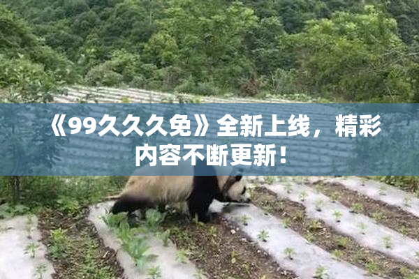 《99久久久免》全新上线，精彩内容不断更新！