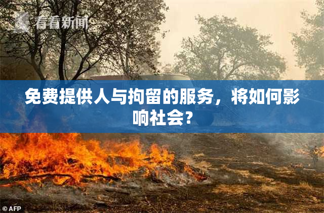 免费提供人与拘留的服务，将如何影响社会？