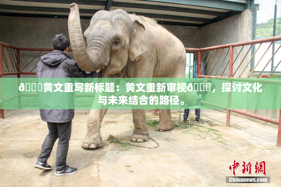 🔞黄文重写新标题：黄文重新审视🔞，探讨文化与未来结合的路径。