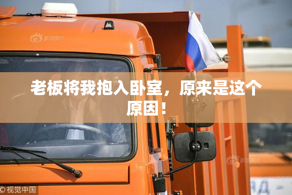 老板将我抱入卧室，原来是这个原因！