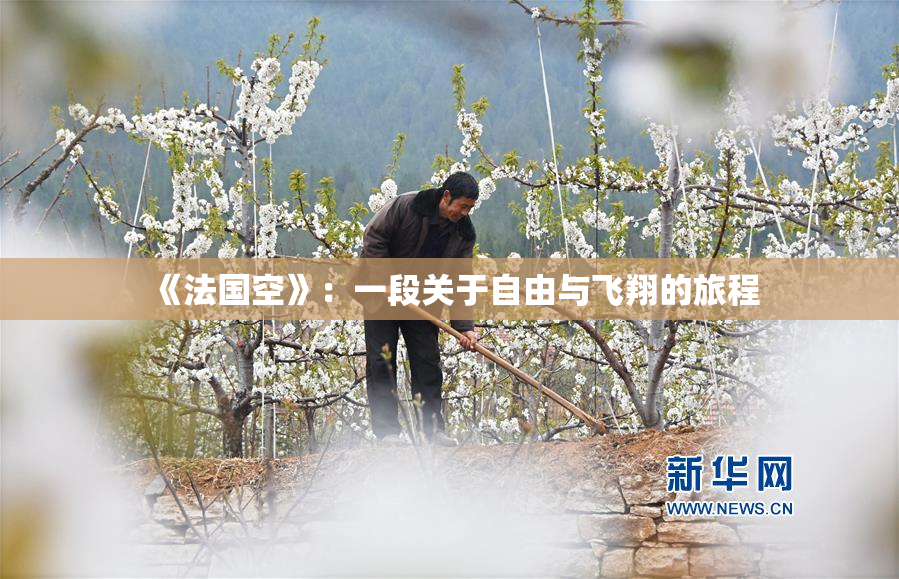 《法国空》：一段关于自由与飞翔的旅程