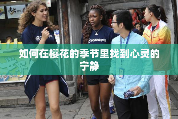 如何在樱花的季节里找到心灵的宁静