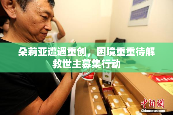 朵莉亚遭遇重创，困境重重待解救世主募集行动