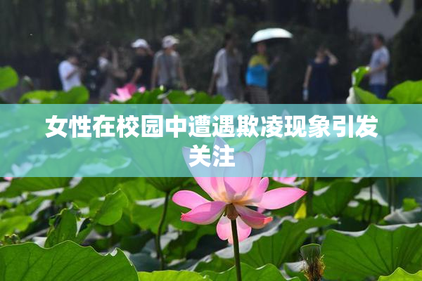 女性在校园中遭遇欺凌现象引发关注