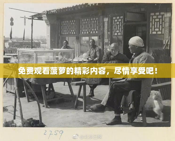 免费观看菠萝的精彩内容，尽情享受吧！
