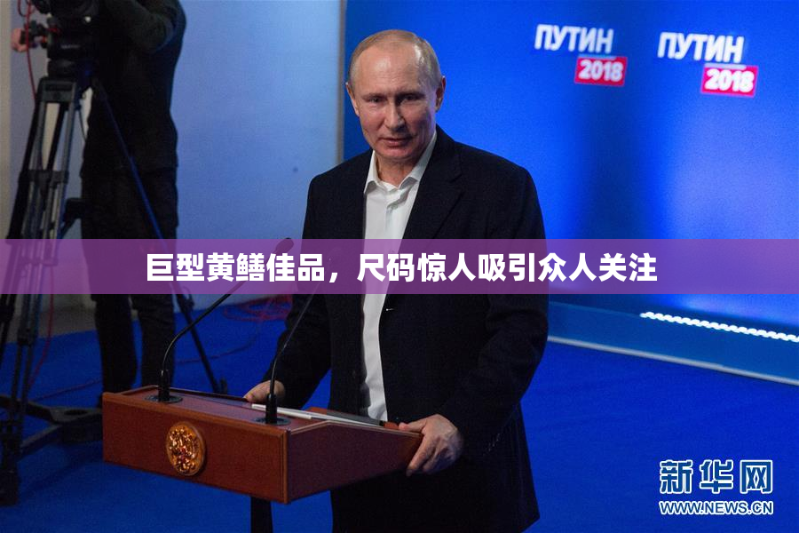 巨型黄鳝佳品，尺码惊人吸引众人关注